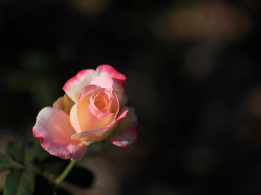 427172 (a): :1600x1200